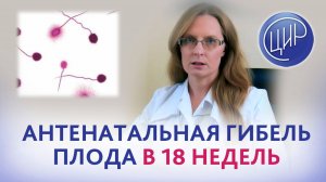 Имеет ли смысл проверять фрагментацию ДНК сперматозоидов, после остановки беременности на 18 неделе?