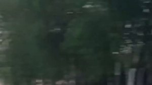 Серфинг на речке Глухарке, в Лахтинском заливе Балтийского моря