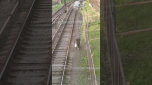 Сегодня в метро пассажир спрыгнул с платформы на рельсы и пошел по путям на станции Кунцевская