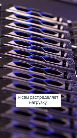 Что общего между Угличем и Светлогорском?