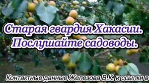 Старая гвардия Хакасии. Послушайте садоводы.