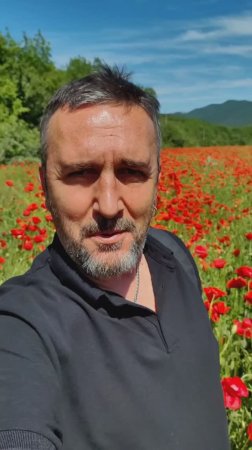 Маковое поле рядом с городом Судак. Май 2025. Крым