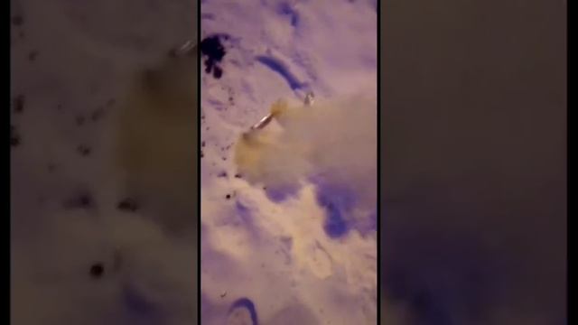 Как сделать дымовуху самым простым способом из бумаги и аммиачной селитры смотреть онлайн