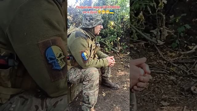 Боевики 95 одшбр не хотят воевать