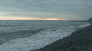 В мае в Сочи ещё холодно... 🌊 🏖 🐬