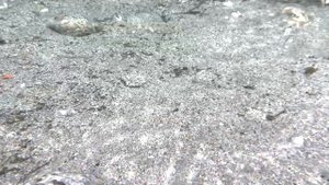 Умхей // термальные источники // Бурятия