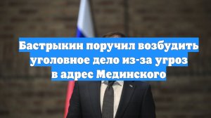Бастрыкин поручил возбудить уголовное дело из-за угроз в адрес Мединского