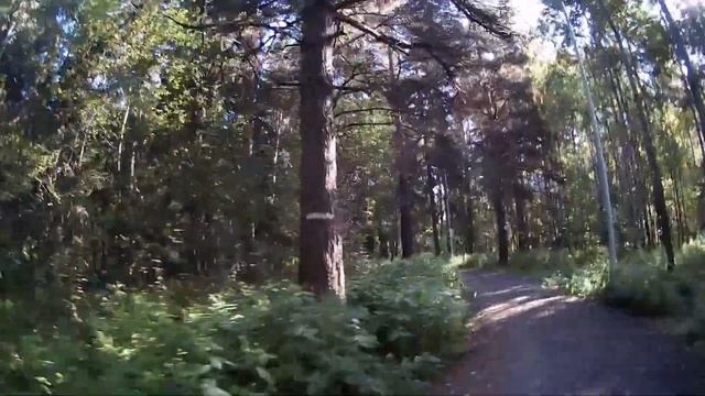 ЭКСТРЕМАЛЬНЫЙ ПАРКУР - ПОБЕГ ОТ ПОЛИЦИИ И РАЗБОРКИ СО ?