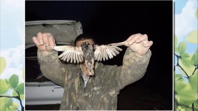 С Днем Рождения Димочка!!!! смотреть онлайн