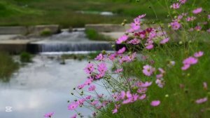 С мужем развелись, но жили в одной квартире. Но один сл?