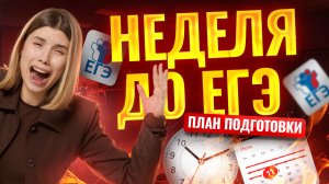 НЕДЕЛЯ до ЕГЭ по информатике 2025: ПОЛНЫЙ ПЛАН подготовки ЗА 7 ДНЕЙ | Умскул