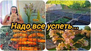 ЗАЧЕМ УЕХАЛИ В ДЕРЕВНЮ СРЕДИ НЕДЕЛИ ⁉️ НАДО ВСЕ УСПЕТЬ 😉