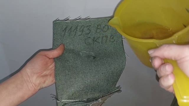 video5397842840946492674