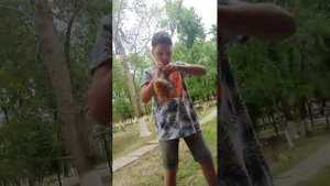 брошенный птенец