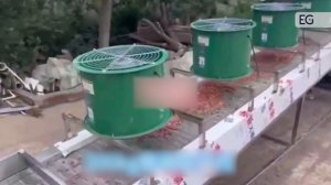 Линия производства ореховой пасты TCA-300