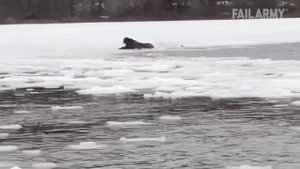 Stay Off The Lawn! Fails Of The Week