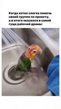 Помог...
