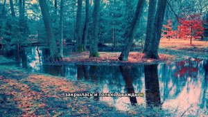 Отец бросил нас пятнадцать лет назад, а теперь требует