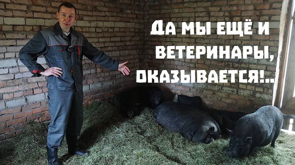 Находим серебро, обновляем хозяйство и проводим хирургические операции!