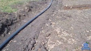 Монтаж системы капельного полива для голубики