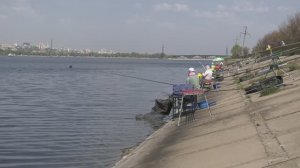 Кубок Воронежской области по ловле поплавочной удочкой май 2018