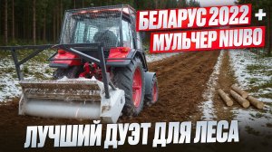 На что способен наш трактор Беларус-2022 с лесным мульчером NIUBO ?
