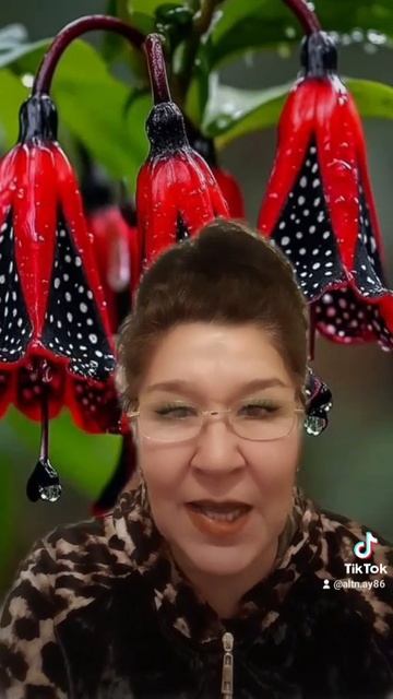 КРИЗИС, ДОЛГИ ЕСТЬ РЕШЕНИЕ!!! смотреть онлайн