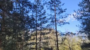 Готовы ли мы к жизни в современном общества?