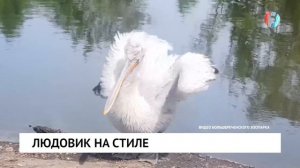 Людовик на стиле