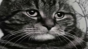 3 сентября мемы грустное видео