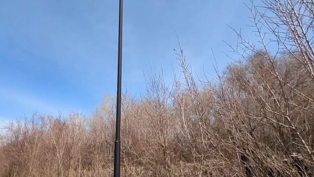 Я уезжаю к маме. А ты с детьми — вон из моей квартиры! — смотреть онлайн