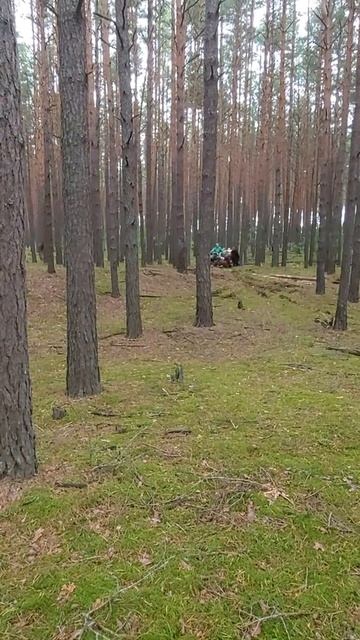 Заготовка ЛЕСА . Мотоблок буксует. смотреть онлайн