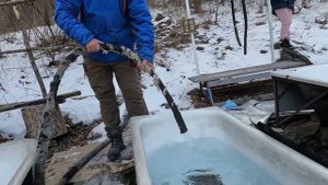 Из Владивостока в Лазо. Радоновые ванны, бухта Тасовая