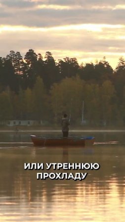 🤔 Чем ловить рыбу в июне