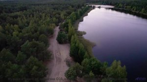 Звуки, которые могут заряжать ваш телефон - тест! - Skip Song -- A. A. Aalto -- Fest