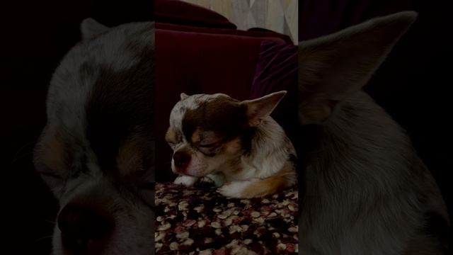 У Косьмы нет света часть 1