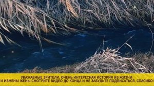 СВЕКРОВЬ ПОТРЕБОВАЛА У НЕВЕСТКИ ПРОДАТЬ КВАРТИРУ РАД?