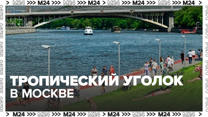 В центре Москвы появился тропический уголок с пальмами и декоративным прудом - Москва 24