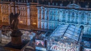 Новости Санкт-Петербурга: КотоЦарь, нахальные чайки, Классика на Дворцовой, сохатые на трассе 😍