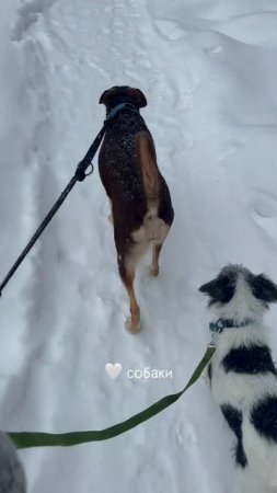 Про реализацию и продвижение себя @aksiniya.mirror