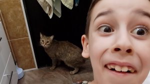 Что Будет Делать Кошка ЕСЛИ Я БУДУ В ВАННОЙ!?