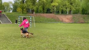 1 О/Отл. SHANI v. Haus Devartis +++ №87 / КЧК+ БОРИСОВ (BY) 17 мая`25 M.Jovovic Моно нем.овч.