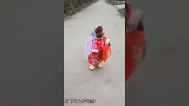 Модные собачки смотреть онлайн