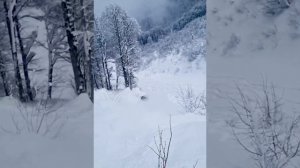 Ты ее захочешь! обзор Capita Aeronaut