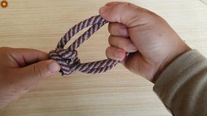The 2 knots most used in everyday life(1)