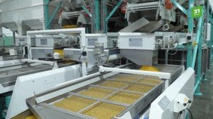 Управленцев президентской программы впечатлили технологии производства «Макфы»