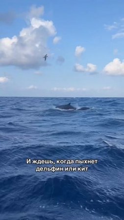 😳Вот это работа!