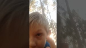 новый сезон в серданя шоу