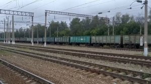 "Перегоняемая редкость" ВЛ11.8-712/... с перегоняемым тепловозом 2ТЭ116-884 "БТС" и грузовым поездо