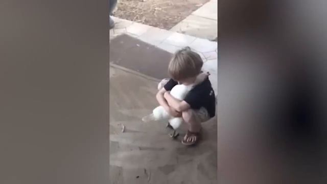 Попробуй НЕ ЗАПЛАКАТЬ! 😥 Топ 25 Моментов Встречи Животных с Хозяевами После Долгой Разлуки №8